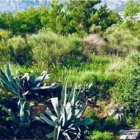 Apartment Mila Makarska Zewnętrze zdjęcie